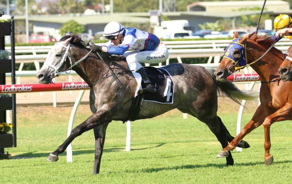 Shibli 4 | Just Horse Racing