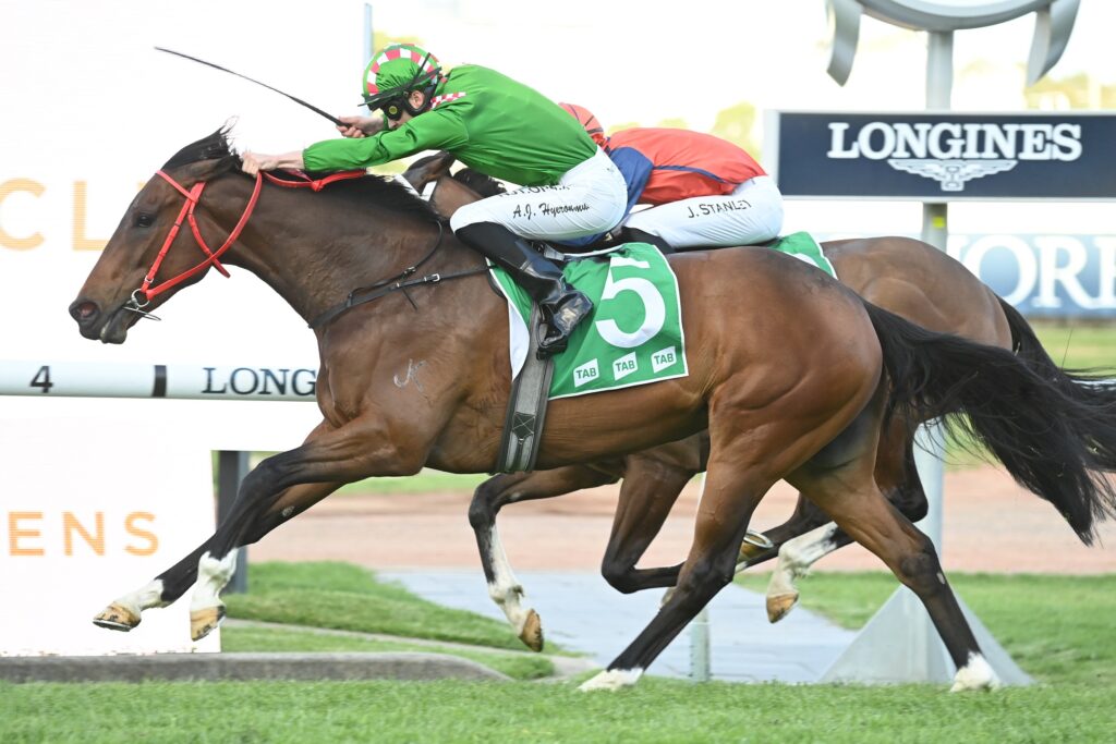 Super Helpful 071023 3593 | Just Horse Racing