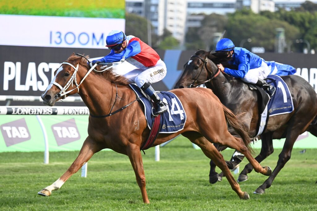 Vienna Princess 141023 5895 | Just Horse Racing