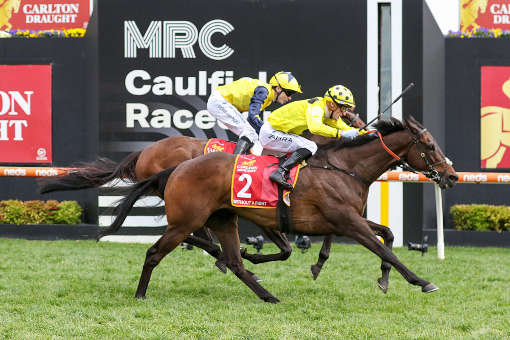 Without A Fight 0V9A1577 | Just Horse Racing