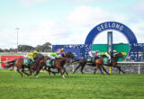 Geelong Races