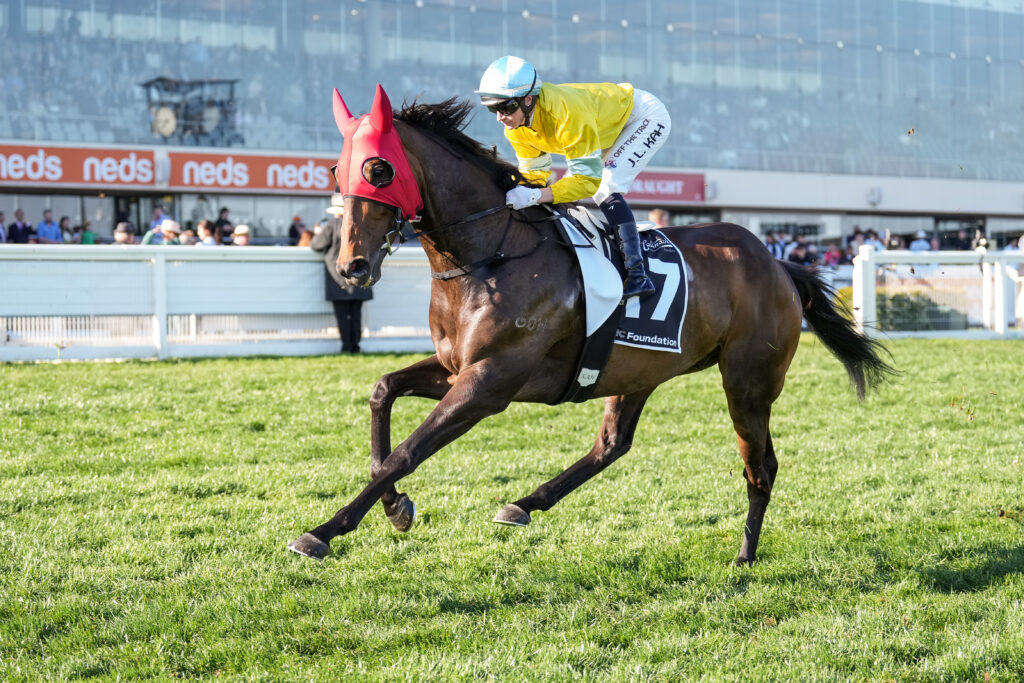 /r8/ | Just Horse Racing