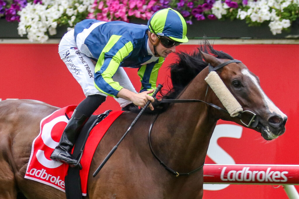 0V9A0773 0V9A0752Taunting | Just Horse Racing