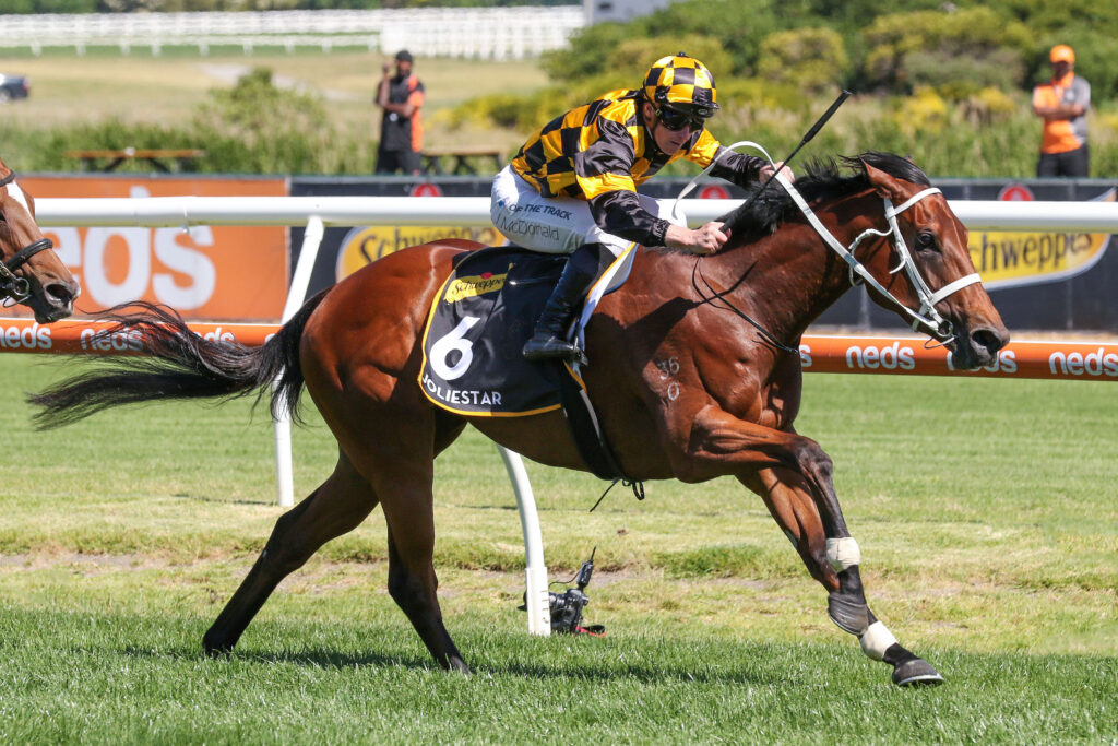 0V9A0996Joliestar | Just Horse Racing