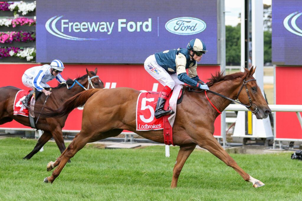 0V9A1195 JIMMYSSTAR | Just Horse Racing