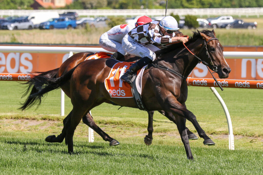 0V9A1615MAGIC TIME | Just Horse Racing