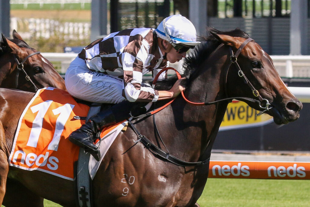 0V9A1622MAGIC TIME | Just Horse Racing