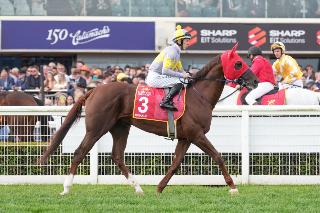 Japan confident of Melbourne Cup success