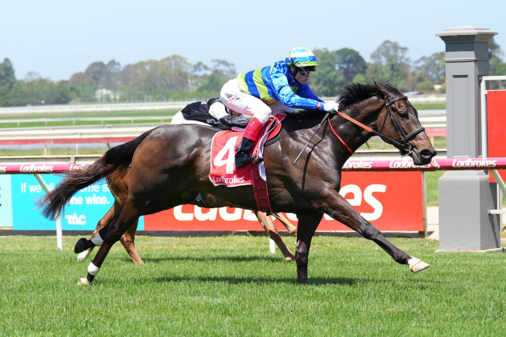 /r1/ | Just Horse Racing