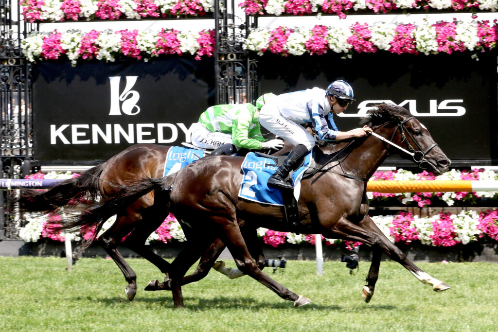 FoxyFrida-20231109-00554 | Just Horse Racing
