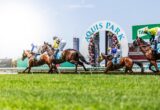 Gold Coast races