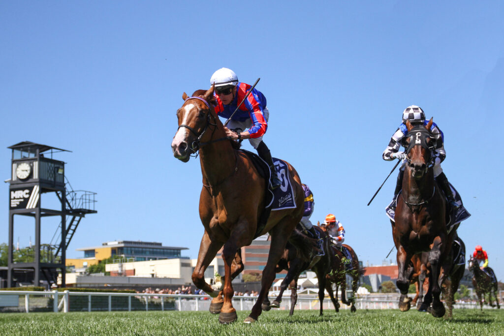 IMG_0619 RUN HARRY RUN | Just Horse Racing