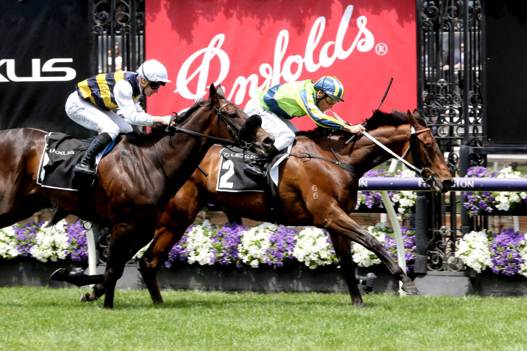 Kalapour-20231104-2786 | Just Horse Racing