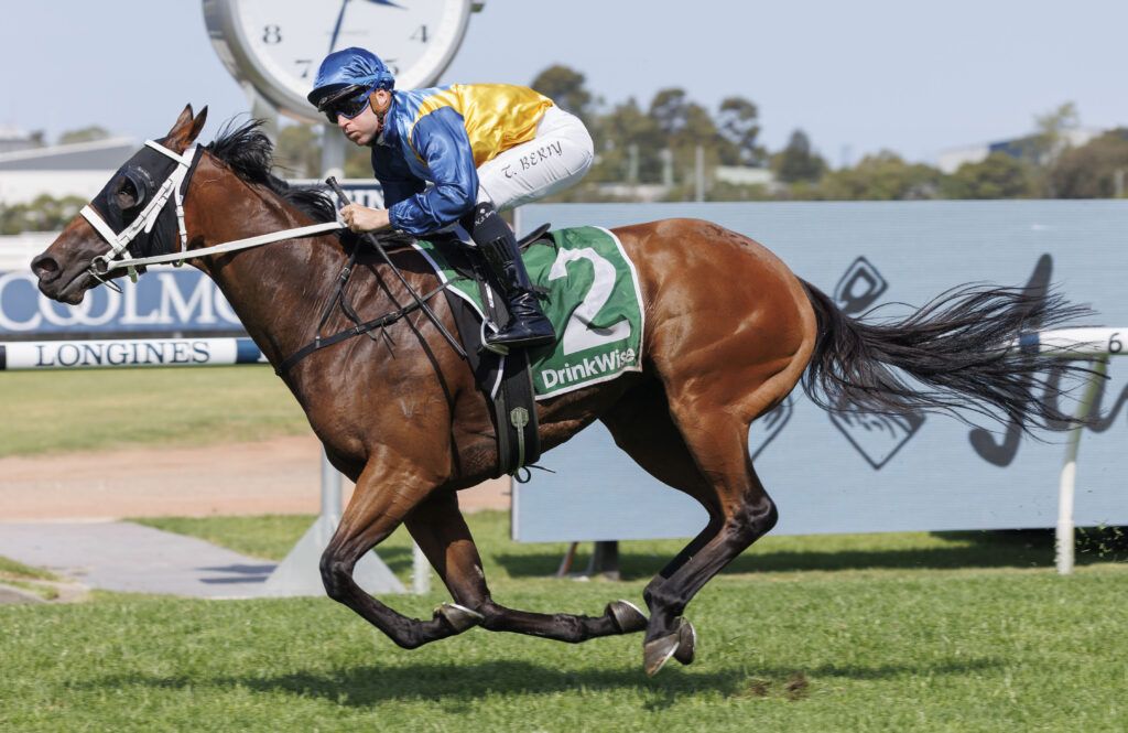Roots-20231111-4374 | Just Horse Racing
