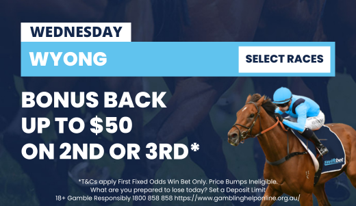 Wyong Select Races 291123 | Just Horse Racing