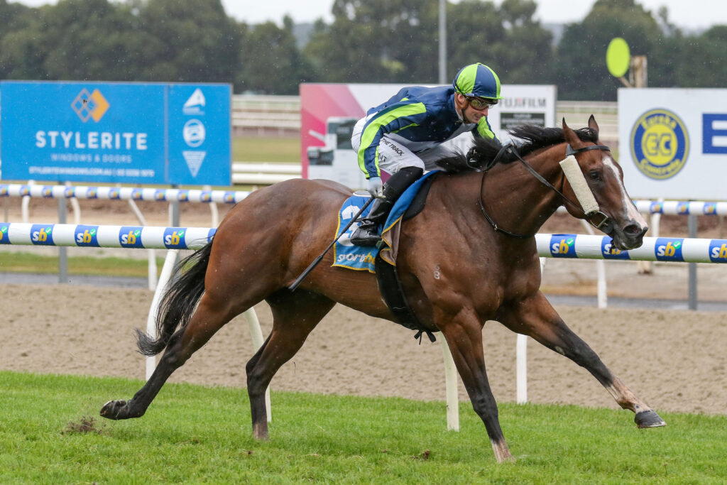 0V9A1769 TAUNTING | Just Horse Racing