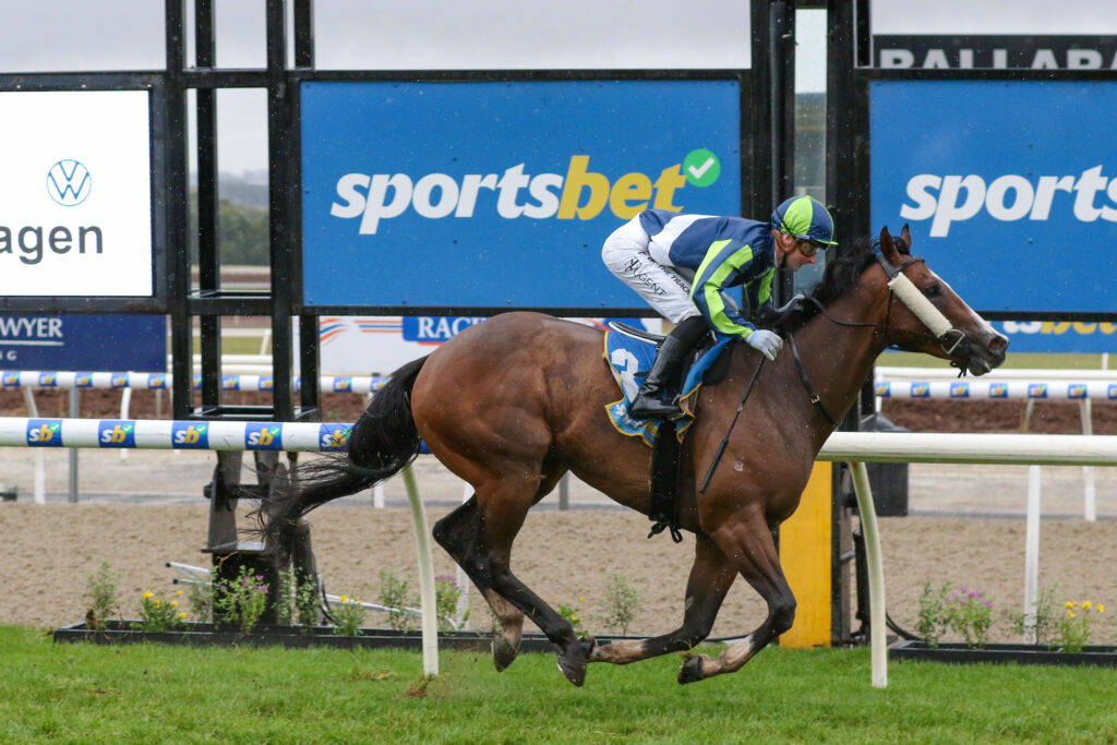 0V9A1776 TAUNTING | Just Horse Racing
