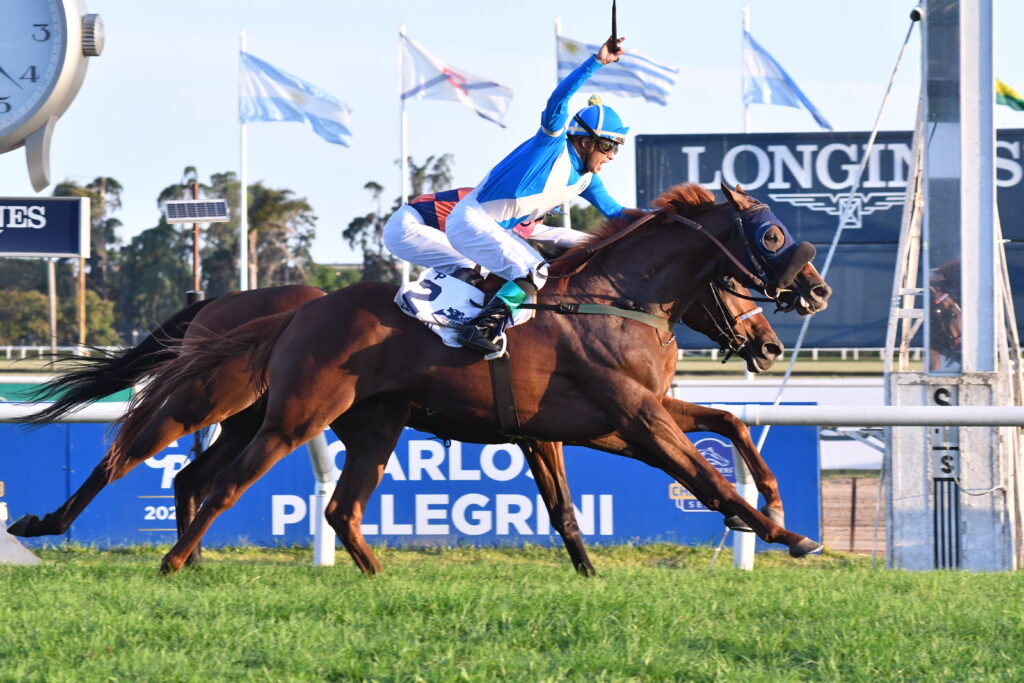 El Encinal Wins the Carlos Pellegrini (1) | Just Horse Racing