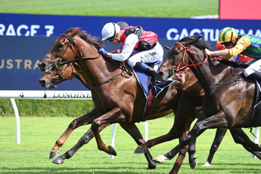 Grebeni 161223 1133 | Just Horse Racing