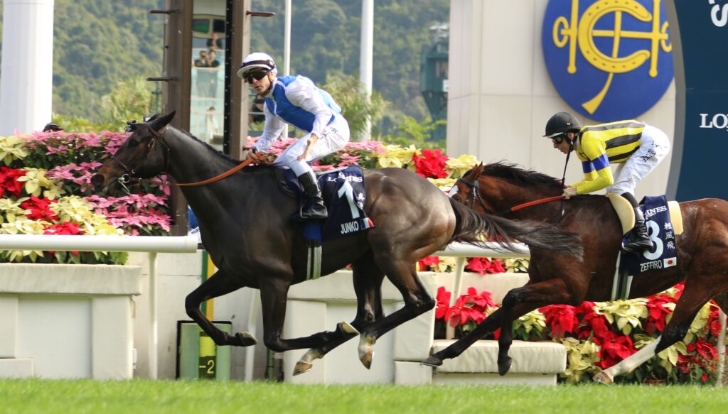 Junko 4 | Just Horse Racing