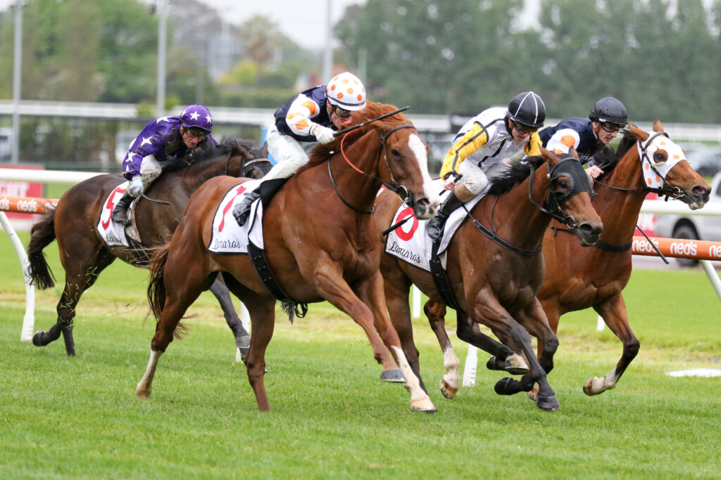 Just folk,Eclipse Stakes,Group 3_02-12-2023_WIN_Caulfield_5__676 | Just Horse Racing