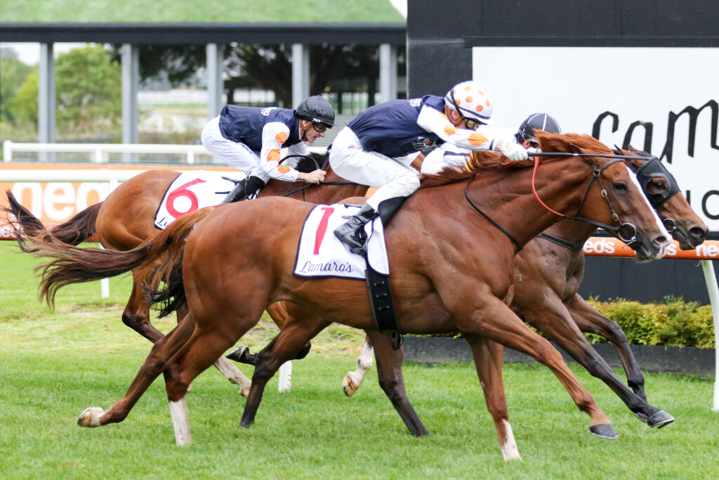 Just folk,Eclipse Stakes,Group 3_02-12-2023_WIN_Caulfield_5__690 | Just Horse Racing