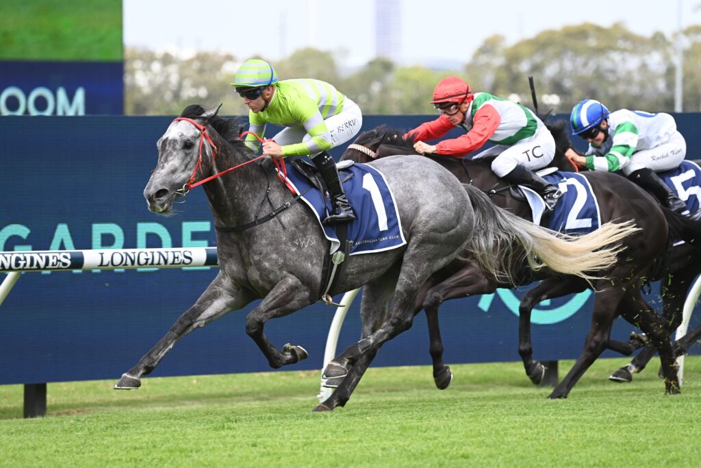 Lekvarte 021223 7513 | Just Horse Racing