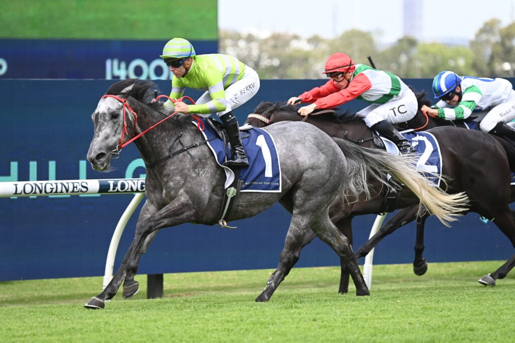 Lekvarte 021223 7514 | Just Horse Racing