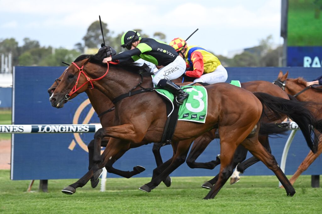 Stockman 021223 8120 | Just Horse Racing