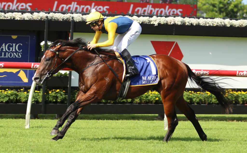 Star Sydney colt short odds in Magic Millions Classic 2024