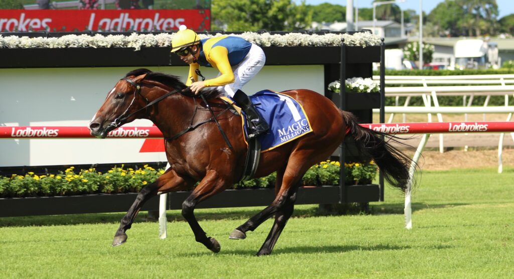 Storm Boy 4 | Just Horse Racing