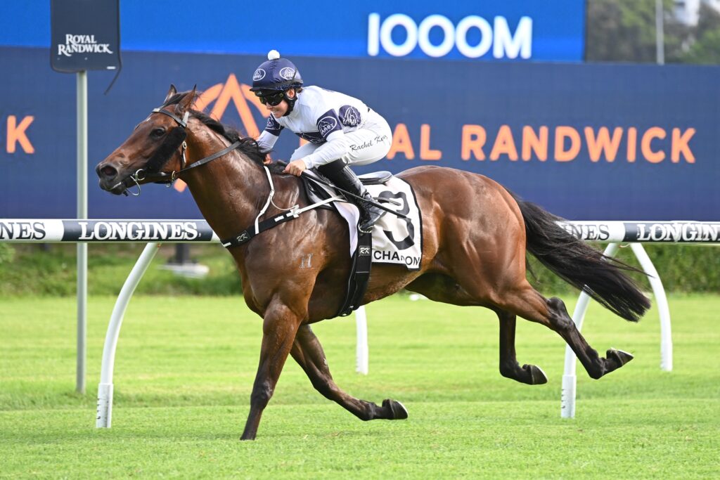 Time To Boogie 161223 1396 | Just Horse Racing