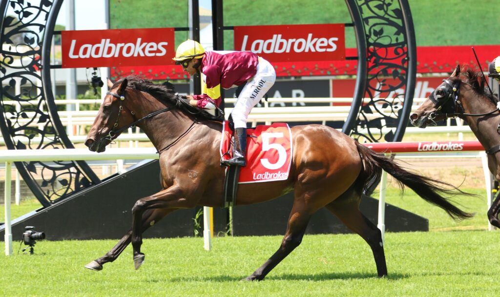 Trifling | Just Horse Racing
