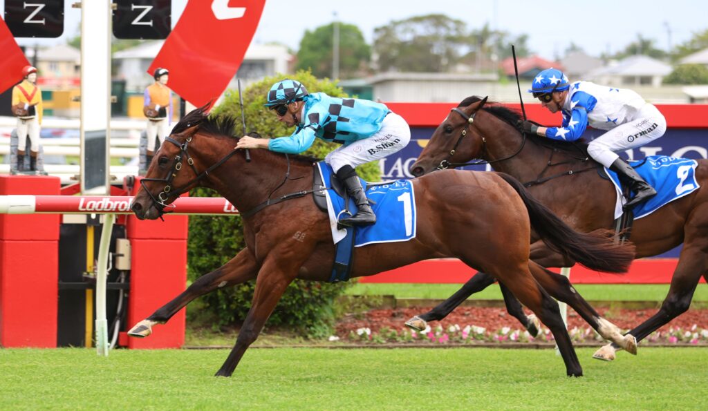 Wolfgang 4 | Just Horse Racing