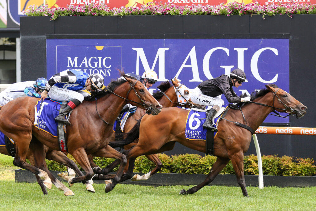 Melbourne mare heads early odds in the Magic Millions Subzero