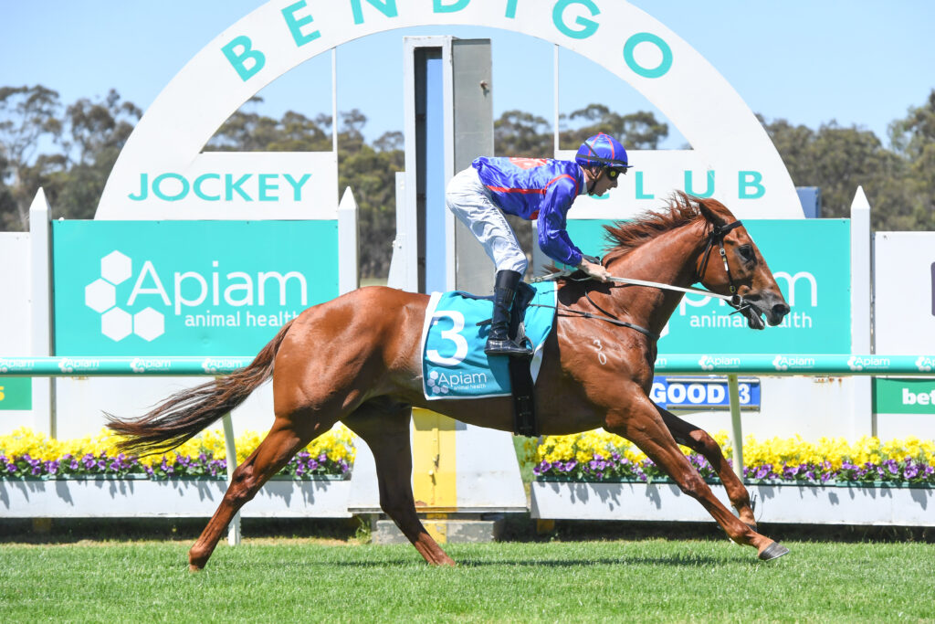/r4/ | Just Horse Racing