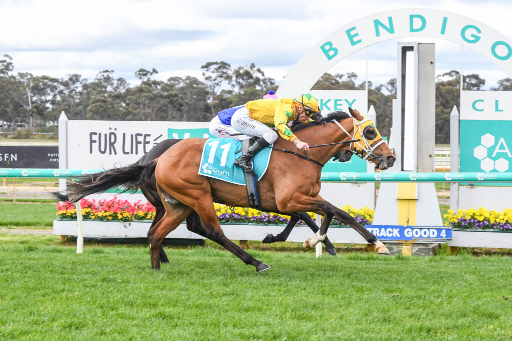 /r2/ | Just Horse Racing