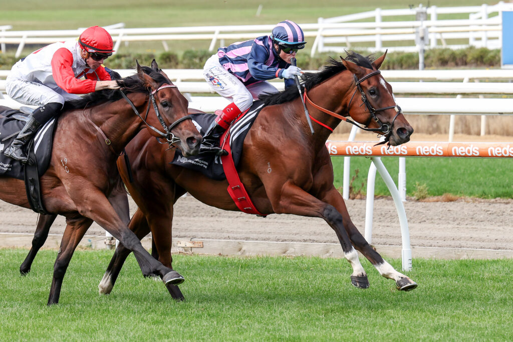 /r3/ | Just Horse Racing