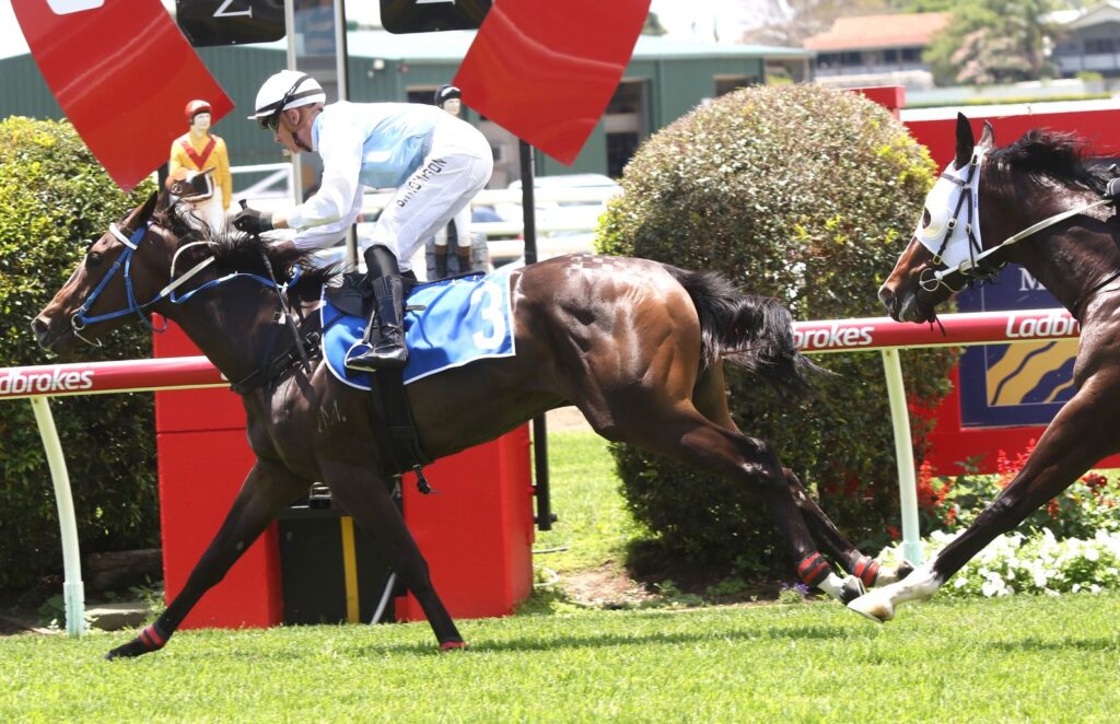 mishani aloha 3a | Just Horse Racing