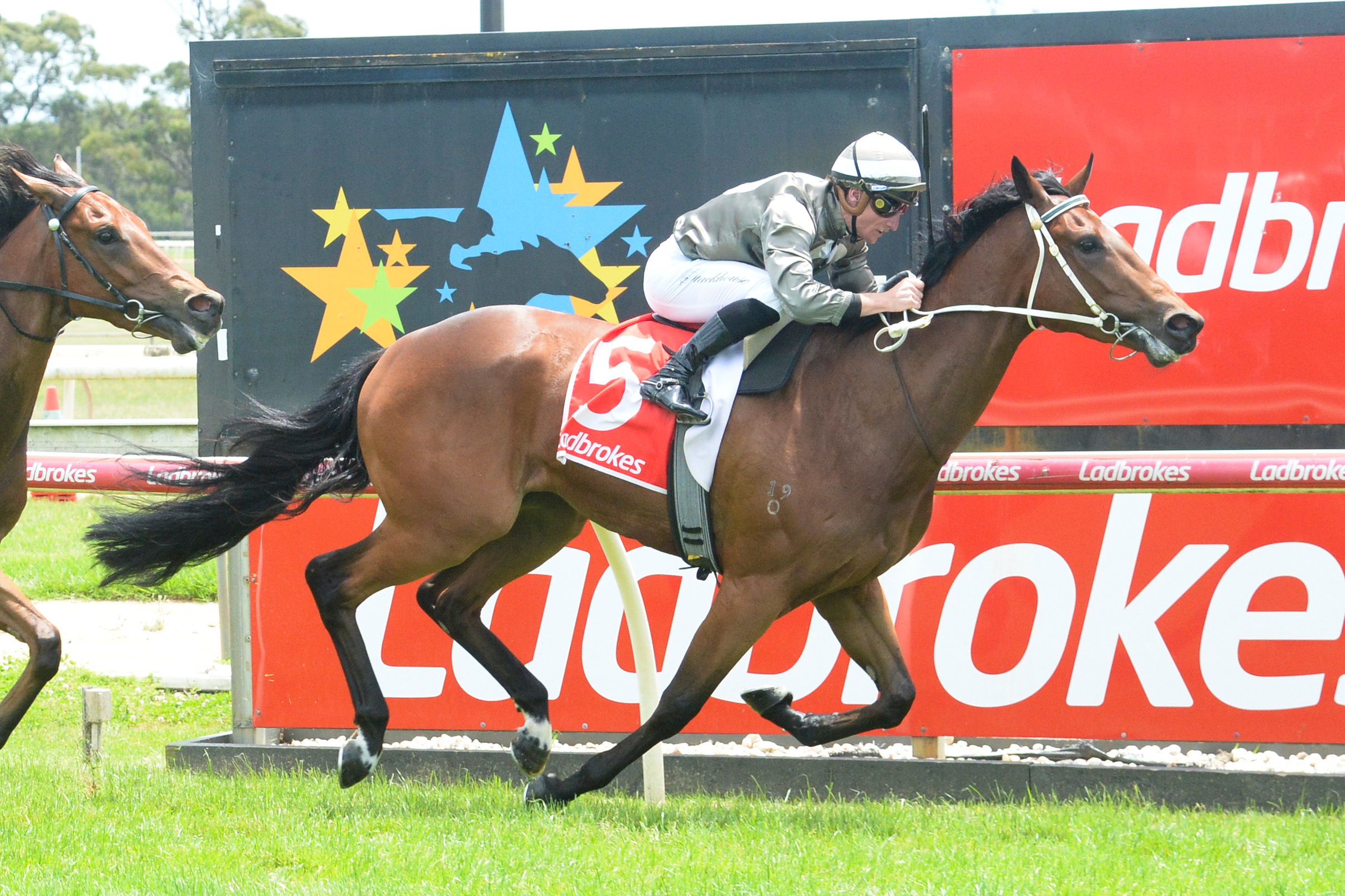 Lure Racing Gold Carat lures Luke Oliver and Torlaah | Just Horse Racing