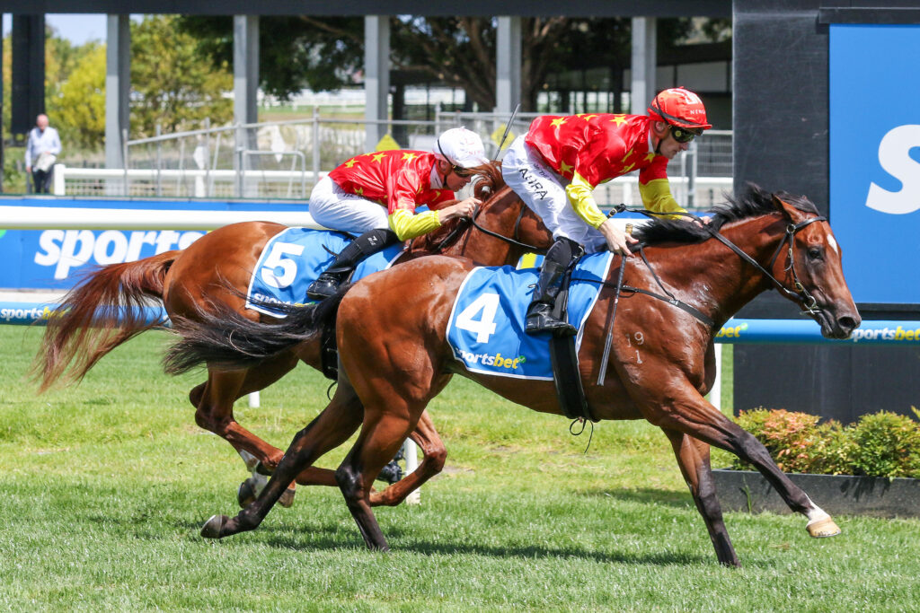 0HIGH OCTANEV9A0456 | Just Horse Racing