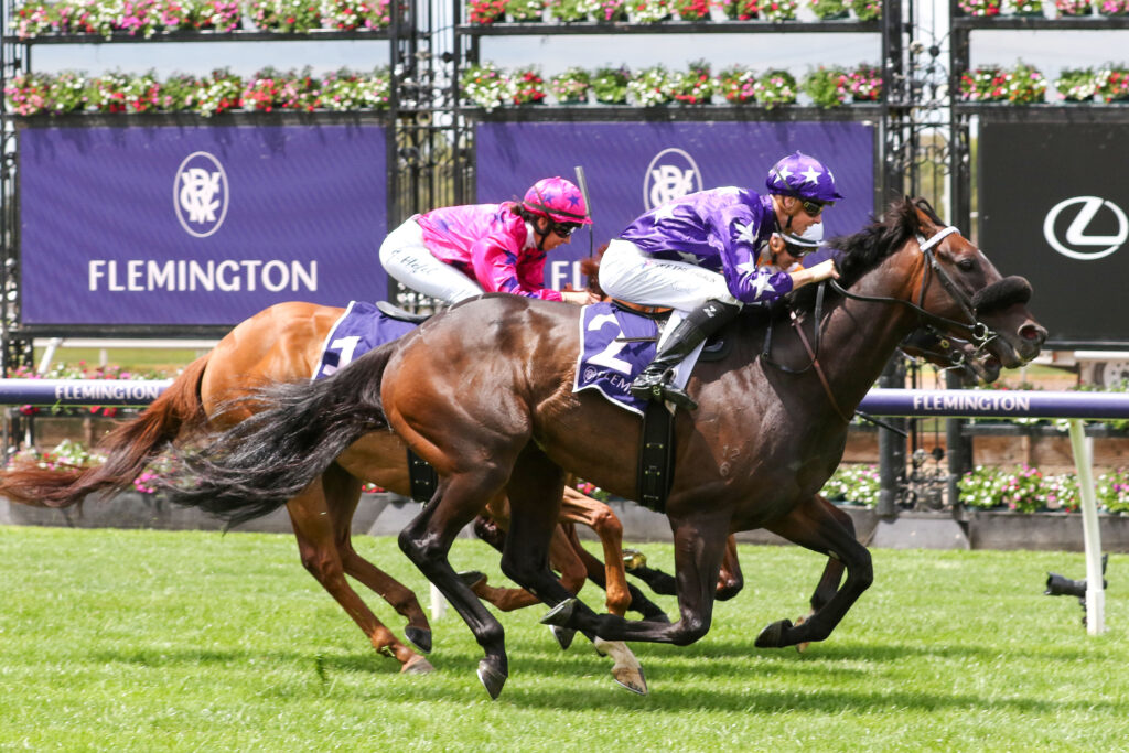 Bermadez_20-01-2024_WIN_Flemington_1__43 | Just Horse Racing