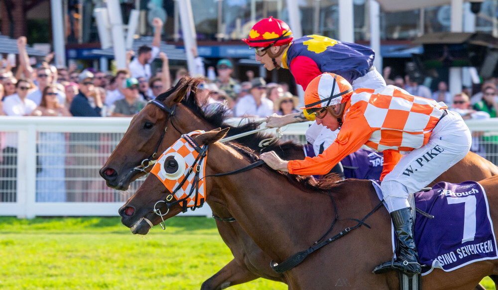 Casino Seventeen | Just Horse Racing