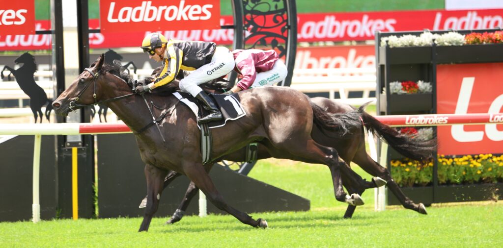 Commanding Artist 3 | Just Horse Racing