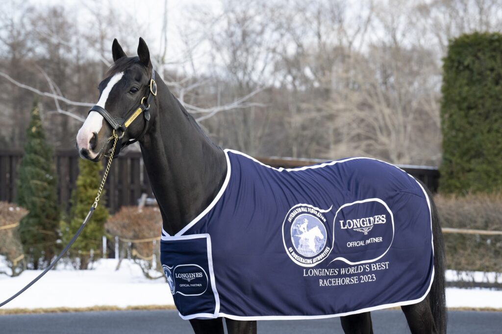 Equinox Longines World's Best Racehorse 2023 ©J. Fukuda | Just Horse Racing