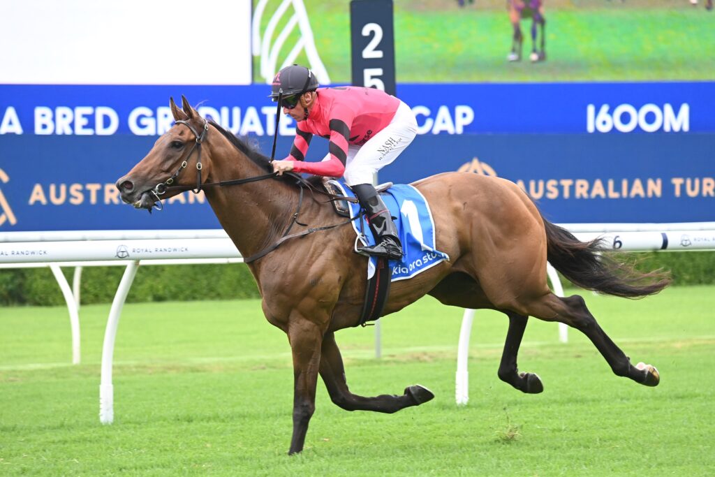 Glory Daze 270123 0141 | Just Horse Racing
