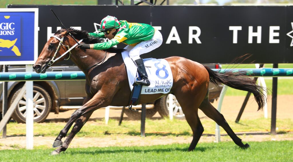 Lead Me On 5 | Just Horse Racing