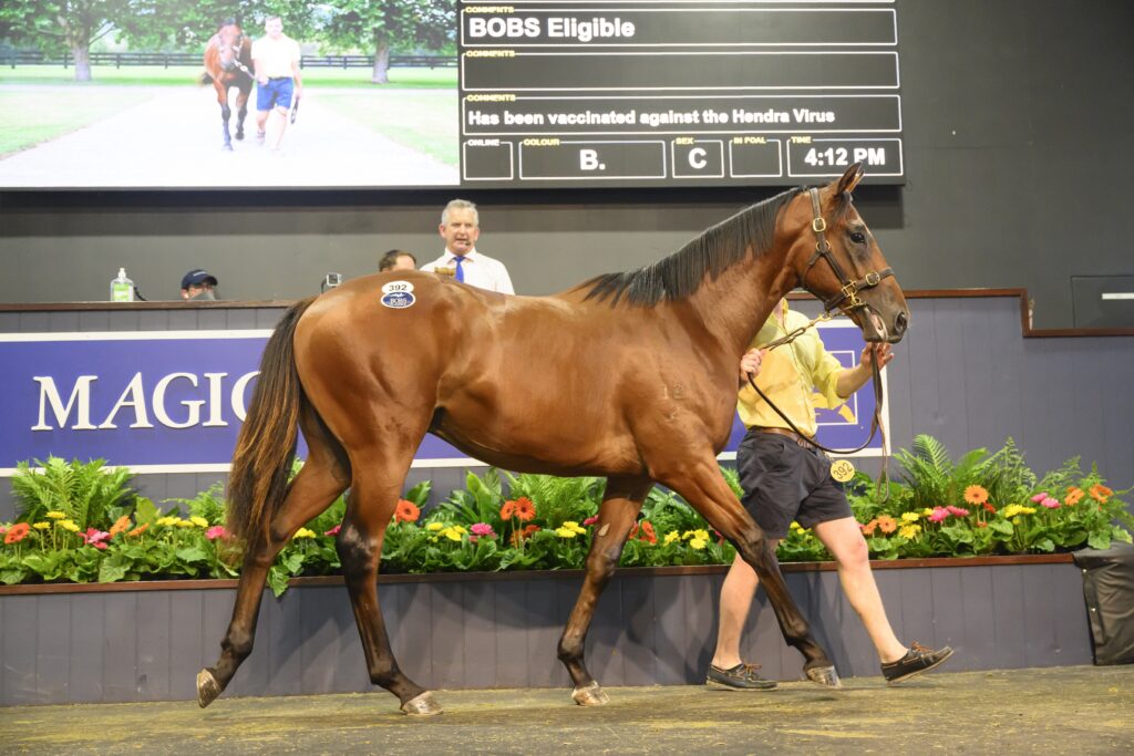 $1.9m colt caps Hot day for Winx&rsquo;s breeder