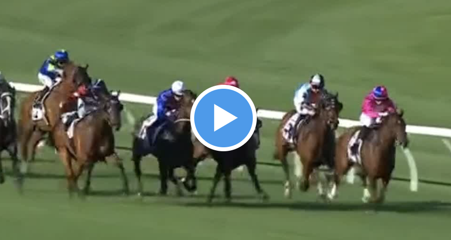 No rush with Immediacy | Just Horse Racing
