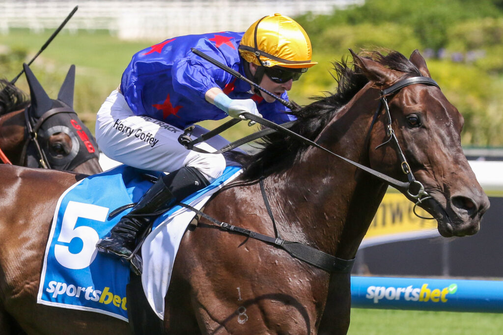 Queman 0V9A0593 | Just Horse Racing